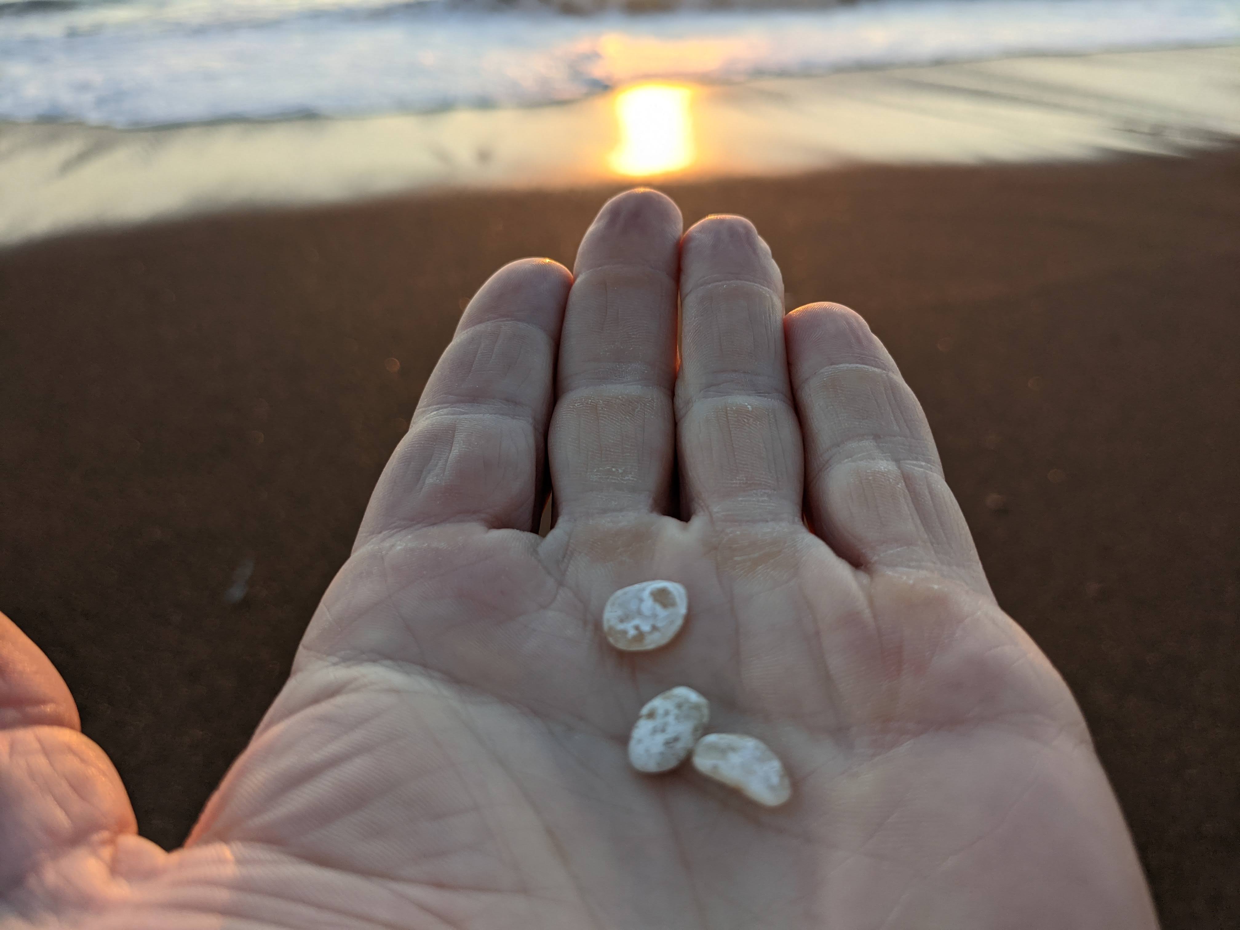 Central California Coast
