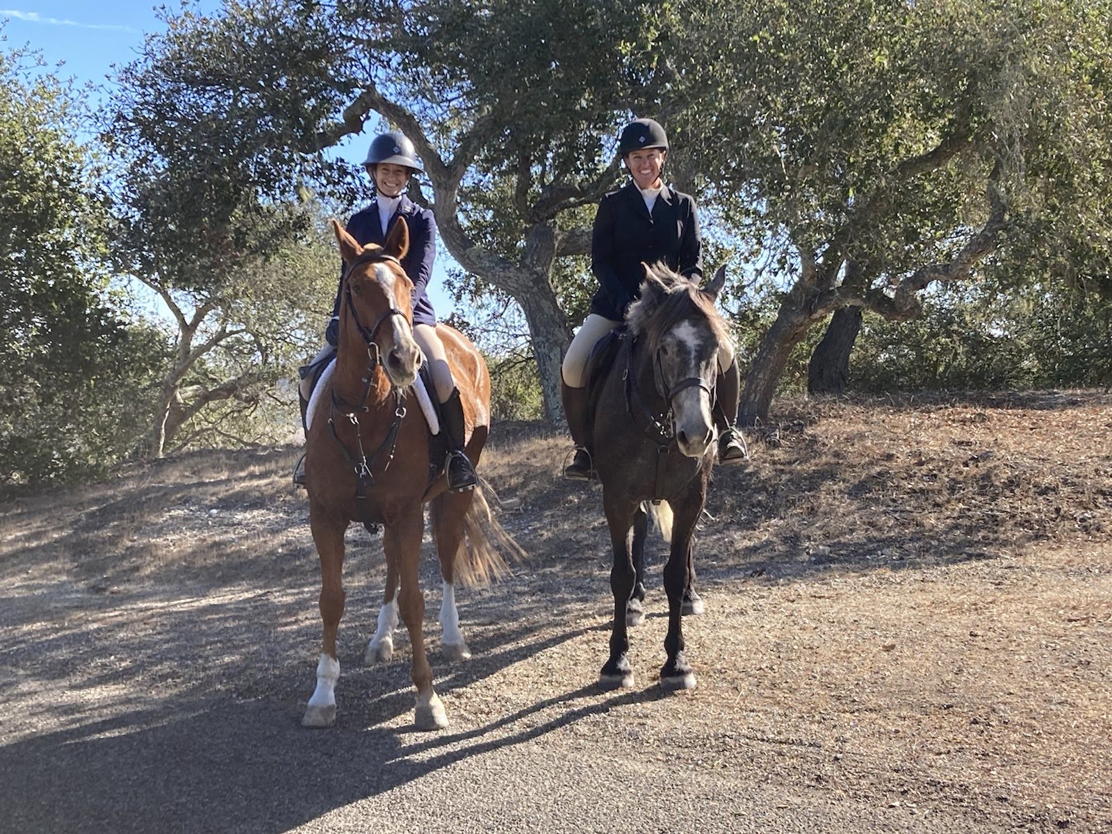 Exploring Central California from the Back of a Horse