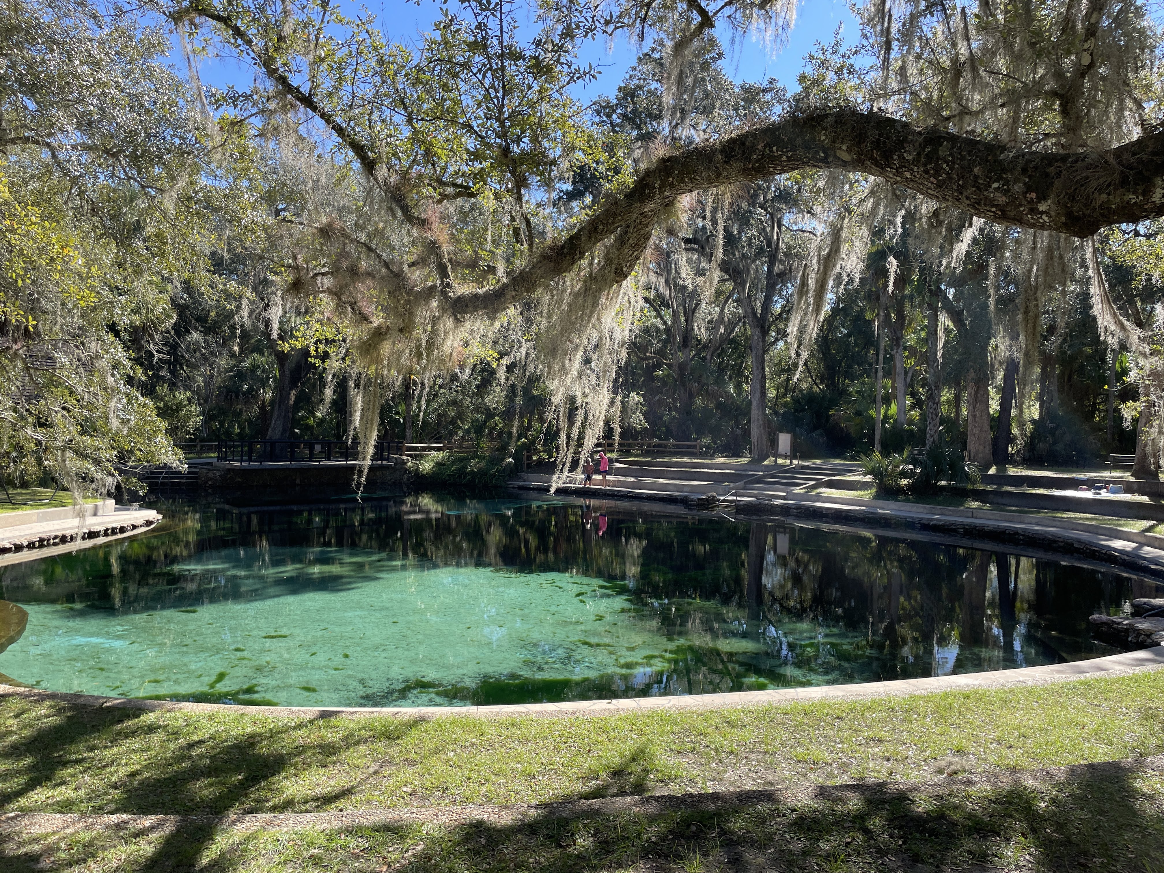 Juniper Springs