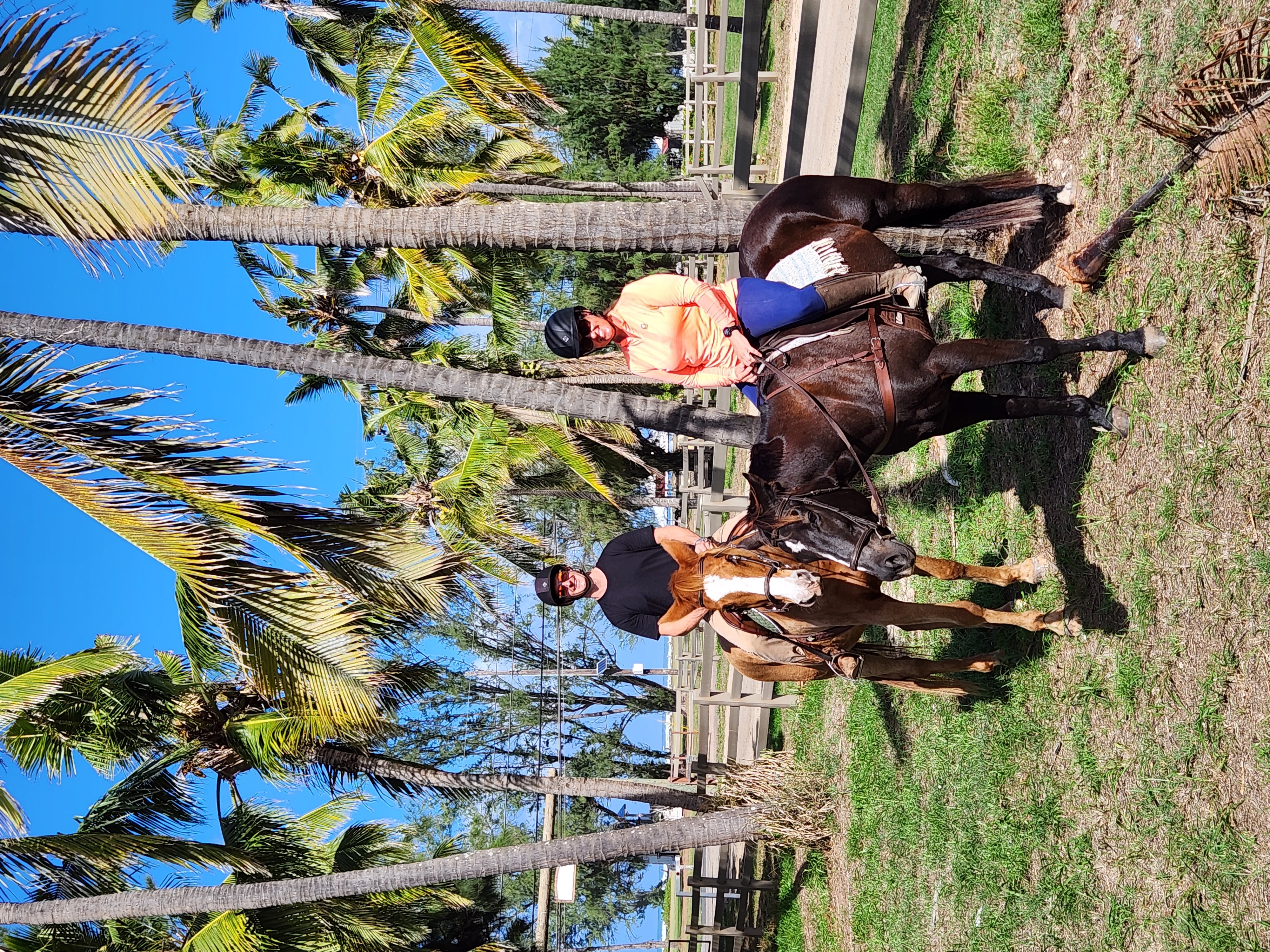 Combining Work and Play in Oahu