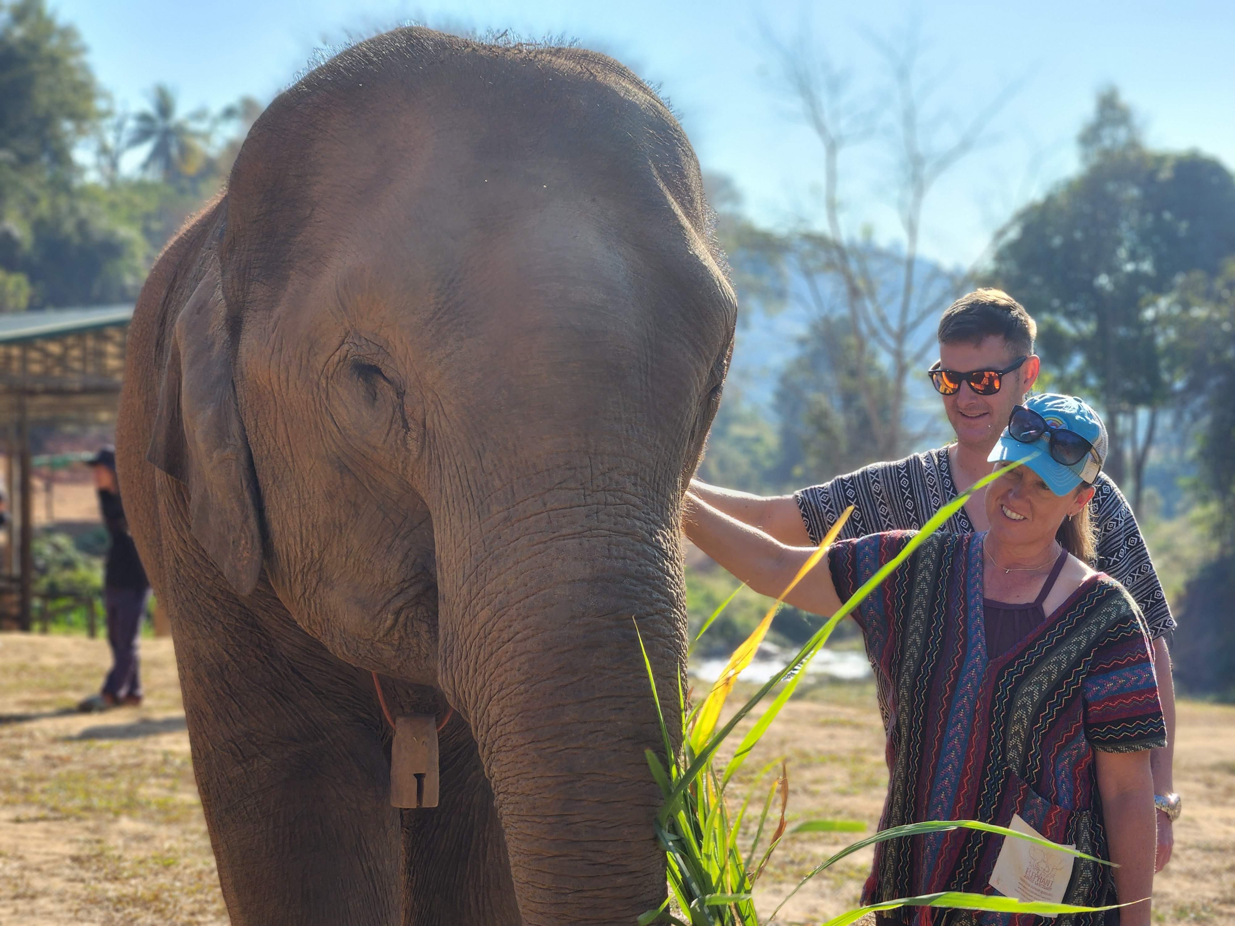 Elephant Jungle Sanctuary