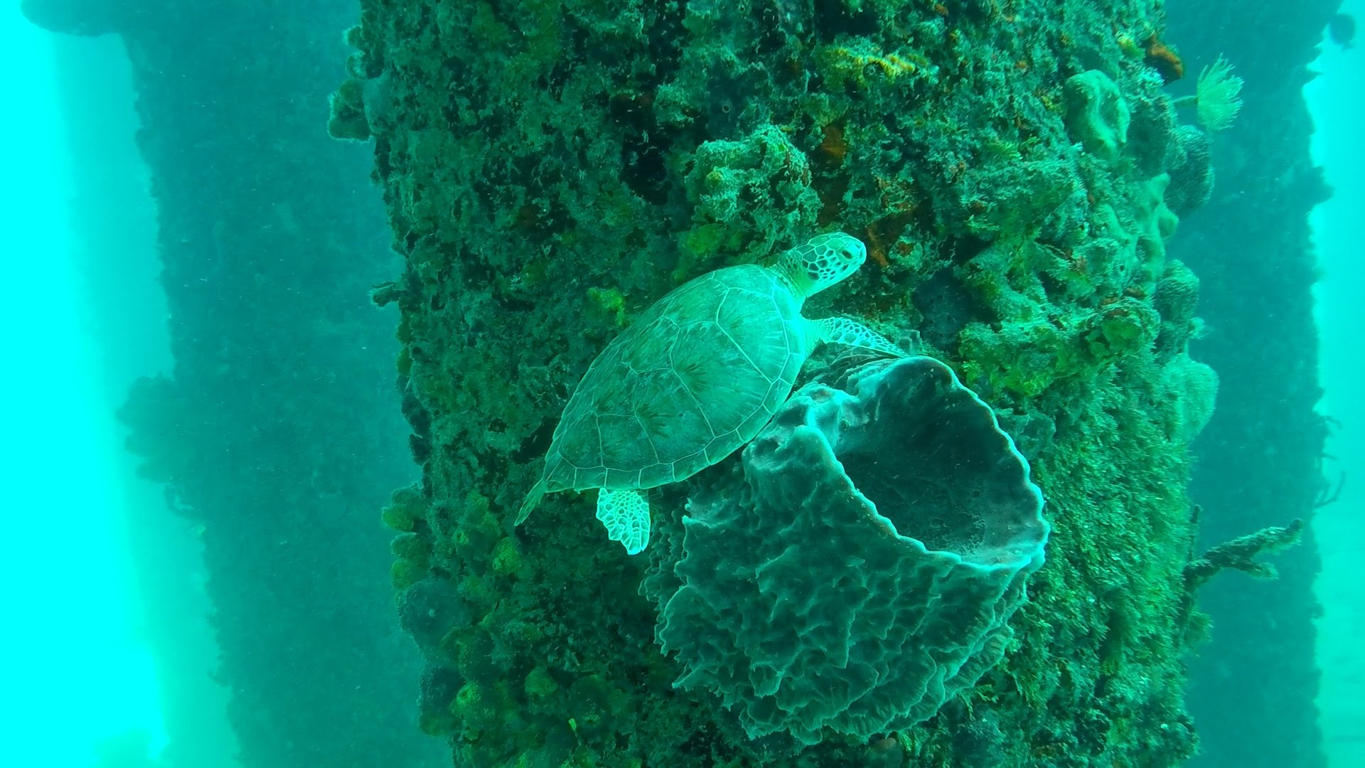 Cruzan Summer Camp Comes to an End